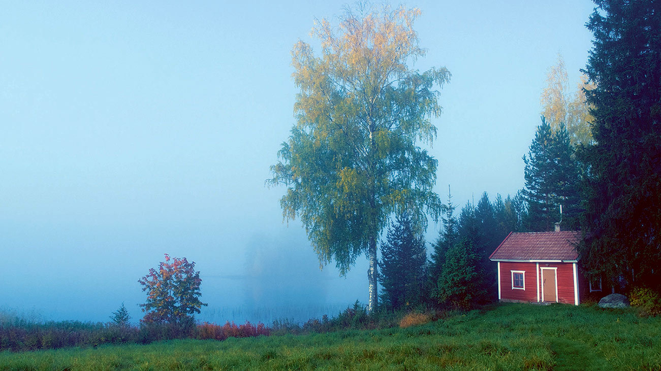 Sauna Eeva Liisa Anttila