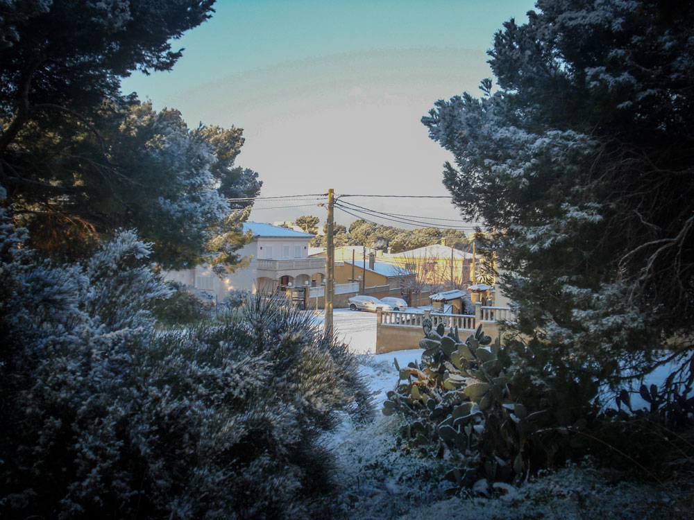 Snowfall in Palma in February 2012. Photo: Pablo Morilla.